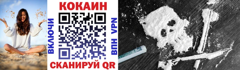 Купить закладки  Киржач  Кокаин 99% 