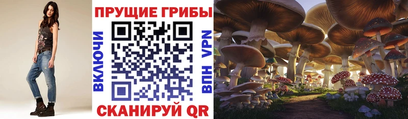 Купить закладки  Киржач  Галлюциногенные грибы мухоморы 